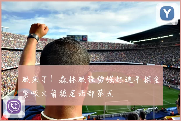 狼来了！森林狼强势崛起追平掘金紧咬火箭稳居西部第五