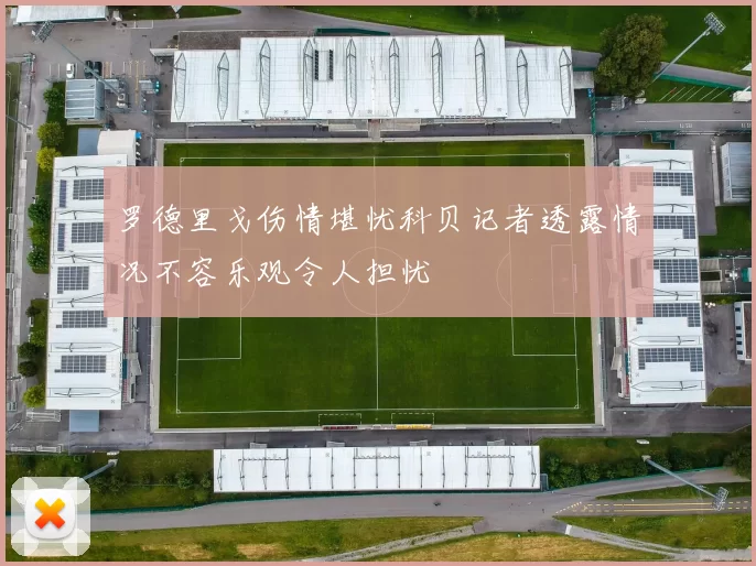 罗德里戈伤情堪忧科贝记者透露情况不容乐观令人担忧